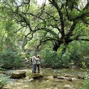 Meet your Posher, Leonora